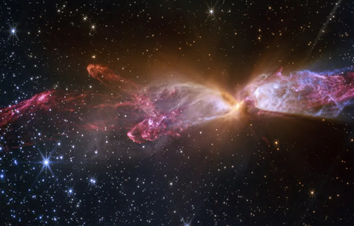 რატომაა კოდი-1-ის სახელის მქონე ადამიანი ერთადერთი და განუმეორებელი