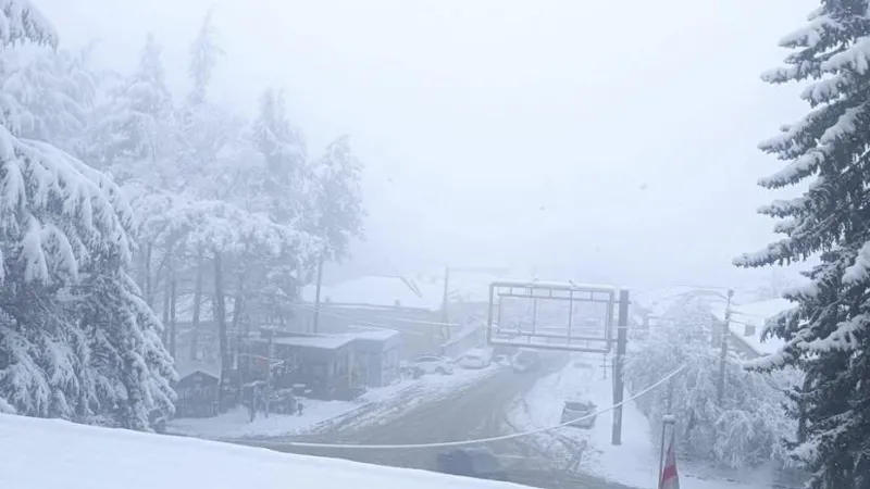 მნიშვნელოვანი ინფორმაცია მძღოლებს,ვინც მგზავრობას გეგმვს.