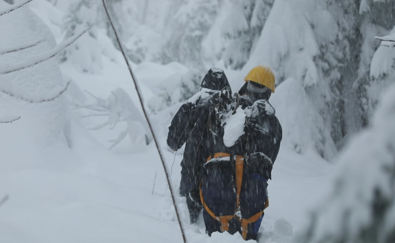 უამინდობამ ელექტროგადამცემი ხაზები დააზიანა - რთული მდგომარეობაა იმერეთისა და სამეგრელოში
