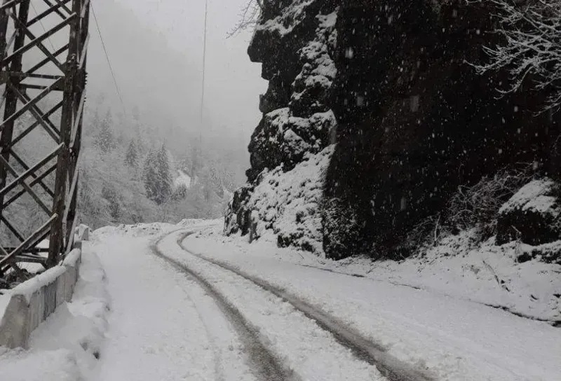 ინტენსიური თოვა და ნალექი -  საავტომობილო გზების რომელ მონაკვეთებზე აიკრძალა მოძრაობა