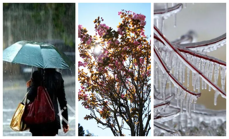 ზოგან -4 გრადუსი ყინვა, ზოგან კი ჰაერის +11 გრადუსამდე დათბობაა მოსალოდნელი - უახლესი დღეების ამინდის პროგნოზი