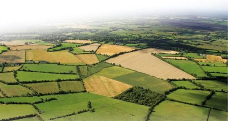 მიწის რეგისტრაციის უფასო პროგრამა უქმდება?! - მოქალაქეები ქონების დასაკუთრებას მხოლოდ სპორადული წესით შეძლებენ