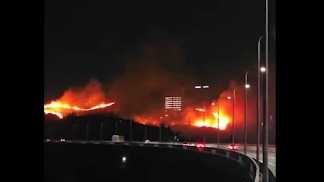 ქობულეთის შემოვლით გზაზე ხანძარია