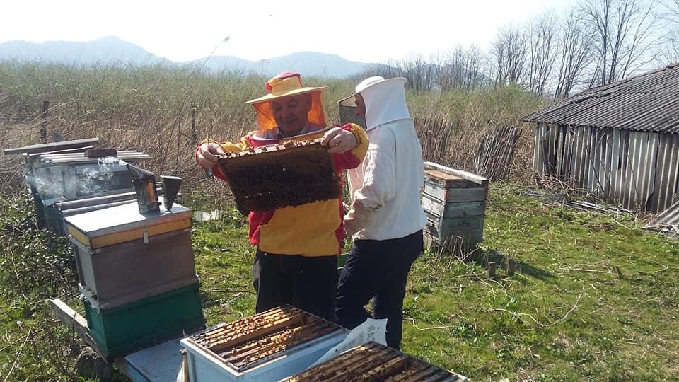 ახალი დაავადება ფუტკარს განადგურების საფრთხეს უქმნის - როგორ შეიძლება მასთან დაპირისპირება და რა ხდება ქართულ საფუტკრეებში?