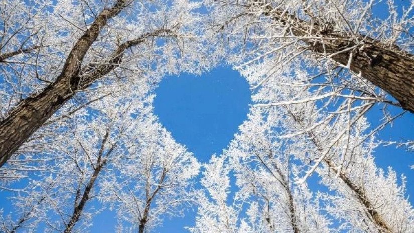 16-22 თებერვლის ასტროლოგიური პროგნოზი: თევზები კრიზისს ასრულებენ, კუროები კი წესრიგს ამყარებენ