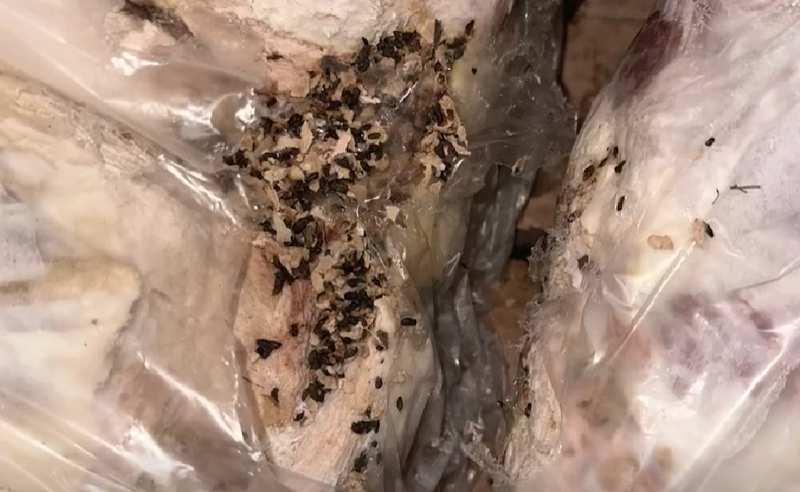 ტოქსიკური კონსერვების საქმე - გაიზრდება თუ არა პასუხისმგებელთა წრე?