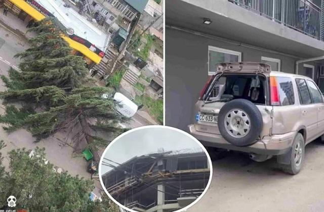 წაქცეული ხეები, დაზიანებული მანქანები და კორპუსის ფასადები - ძლიერმა ქარმა დედაქალაქში პრობლემები შექმნა