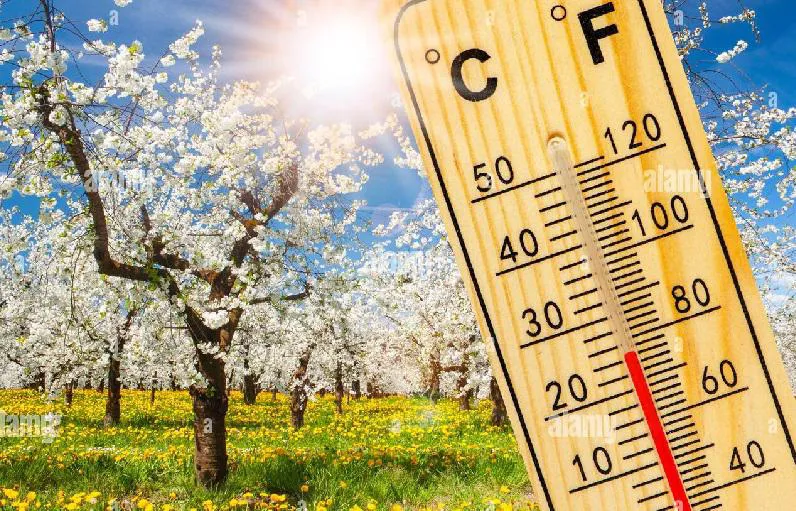 როდიდან გამოიდარებს საქართველოში - მომდევნო დღეების პროგნო