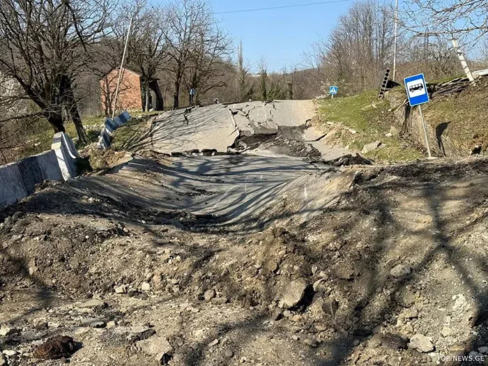 "ვაშლიჯვრის დასახლება მუდმივი მონიტორინგის ქვეშ უნდა იყოს - სტიქიური პროცესები უფრო გახშირდება, რისკის ზონაში 110 თემია" - რას ამბობს გარემოს დამცველი